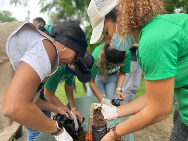 Voluntarios preparando plantones para reforestación