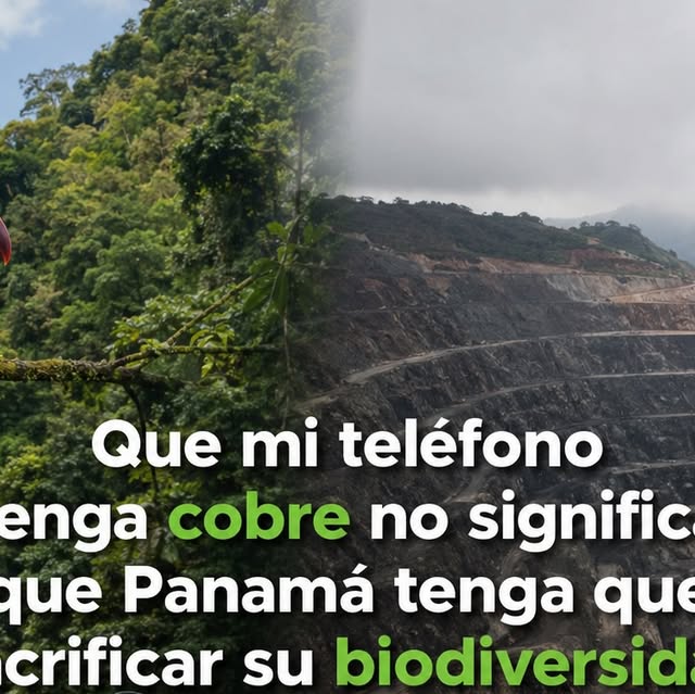 Imagen del post de Instagram: Nos han dicho que el progreso está bajo tierra