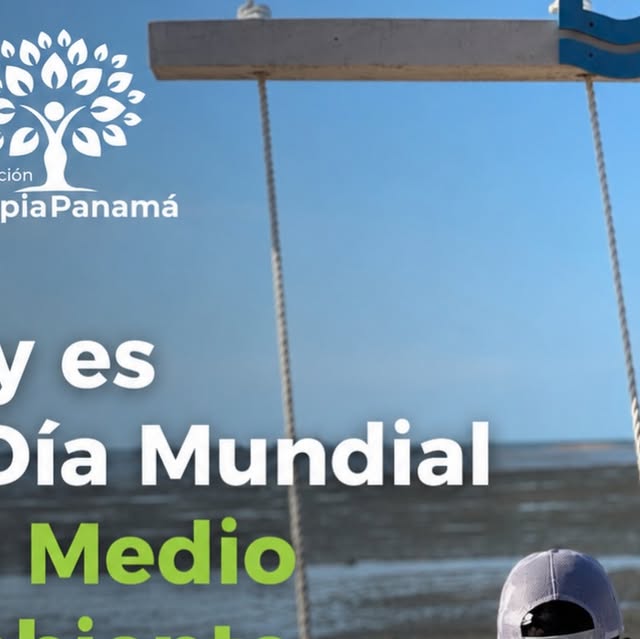 Imagen del post de Instagram: Día Mundial del Medio Ambiente: cada acción suma